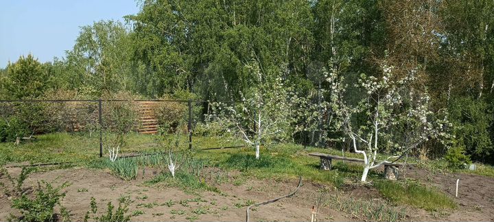 Участок 8 сот. (ИЖС)