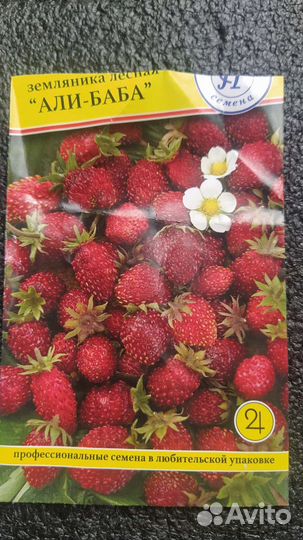 Земляника безусая, ремонтантная