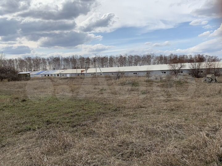 Ферма животноводческая, 1500 м²