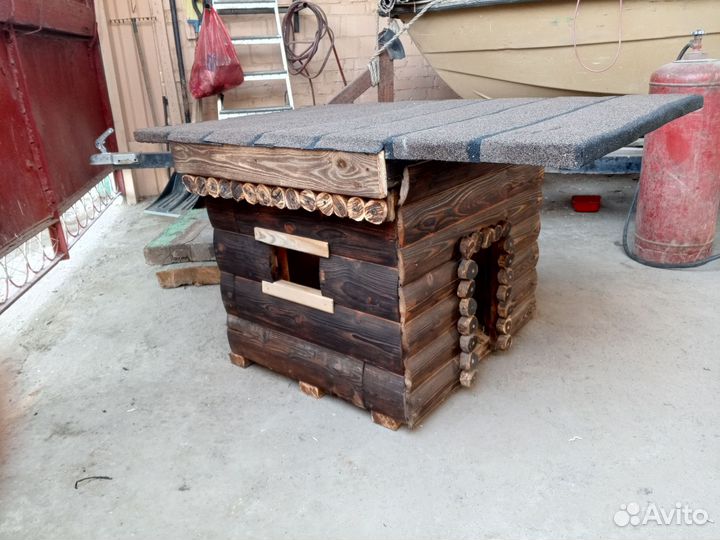 Собачья будка