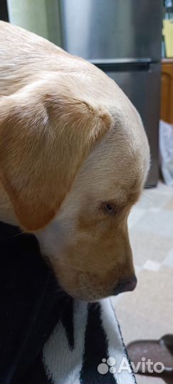 Семейная фотосессия