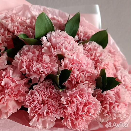 Букет из 17 румяных диантусов. Доставка до двери