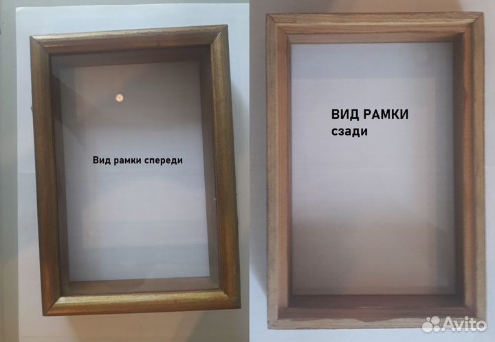 Рамка для коллекционирования жуков, бабочек и т.д