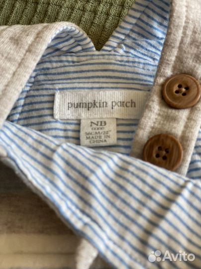 Pumpkin patch Комбинезон 56