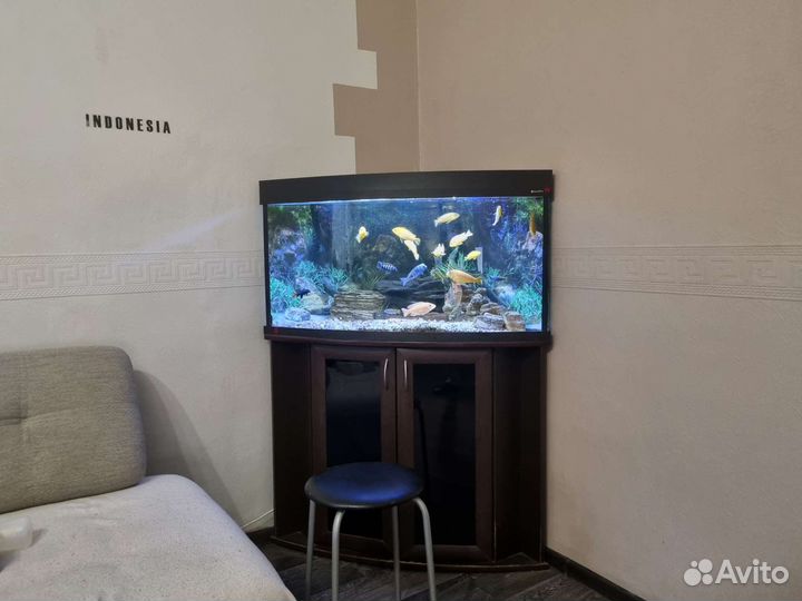 Аквариум- 200л с рыбками- 30шт актуально до 14.08