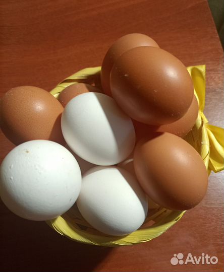 Домашние куриные яйца