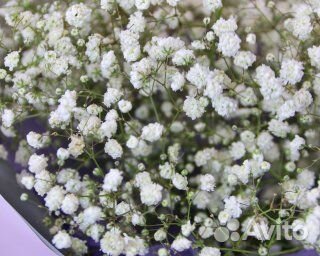 Букет из гипсофил Росинка