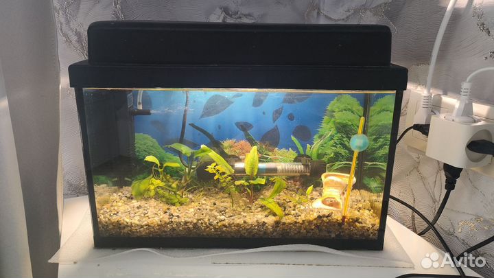 Аквариум 14л