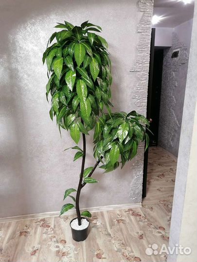 Искусственное дерево манго 2м