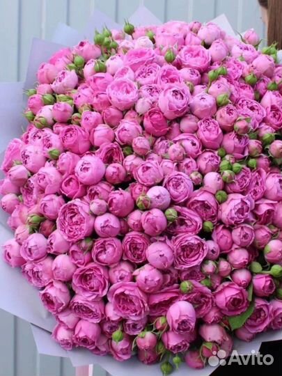 Букет из пионовидной розы.Доставка Калининград