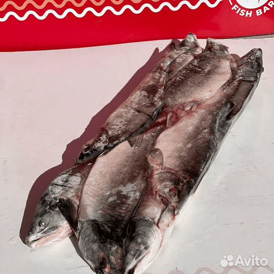 Горбуша опт/ розница
