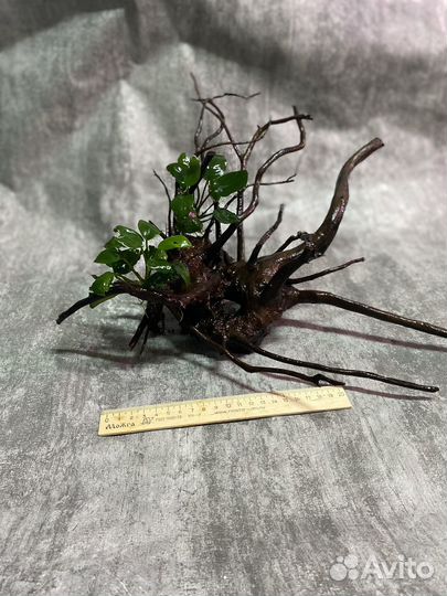 Коряги для аквариума