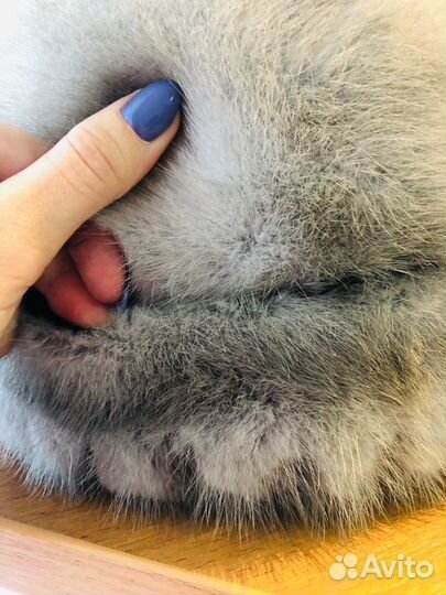 Норковая шапка женская