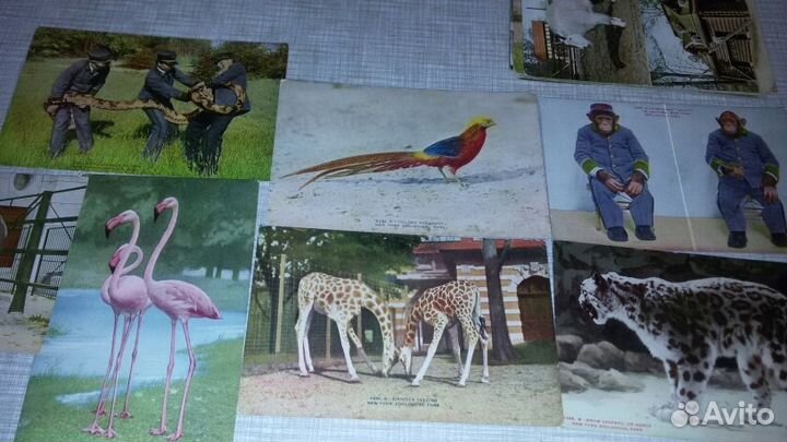 Серии открыток 30-х годов, США