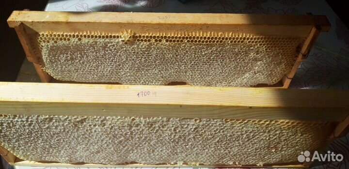 Мёд, медовые соты, маточное молочко, прополис