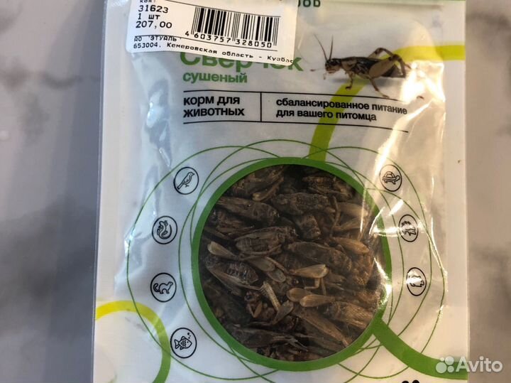 Сверчок сушеный