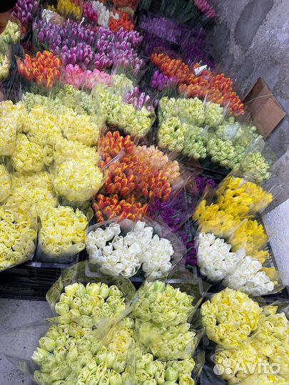 Тюльпаны к 8 марта букеты розница