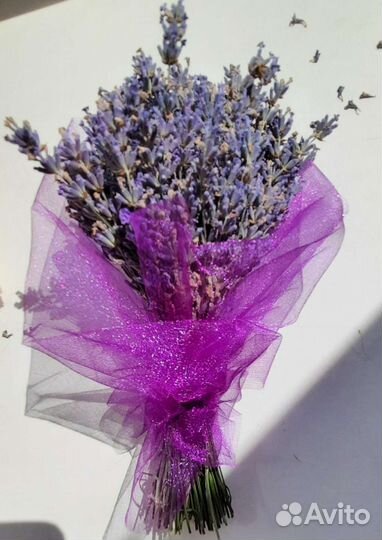 Букет из лаванды,сухоцвет, саженцы