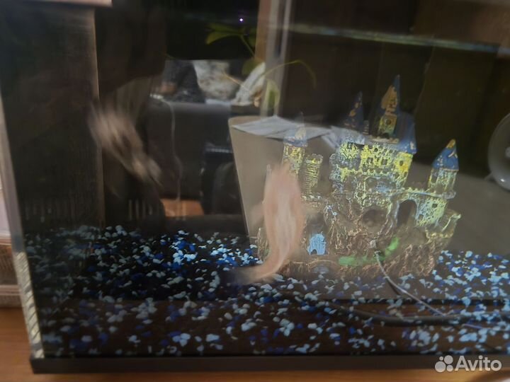 Умный аквариум xiaomi mijia SMART fish tank