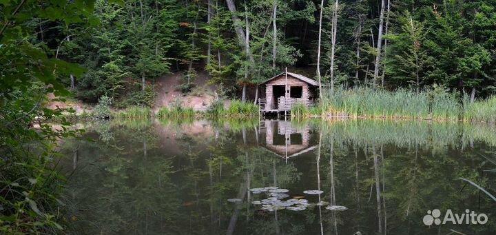 Индивидуальная экскурсия на Ай-Петри