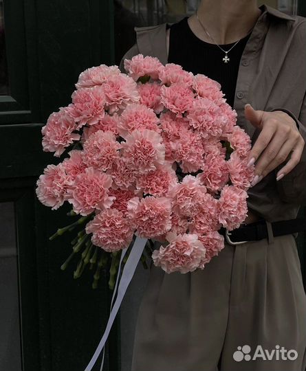 Диантус (гвоздика)