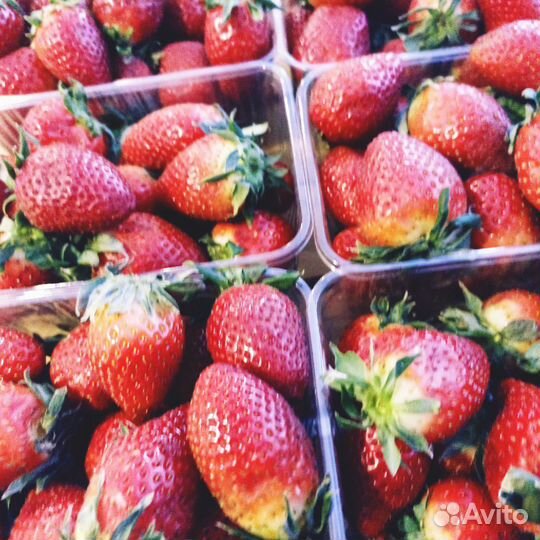 Замороженные ягоды. Замороженные манго