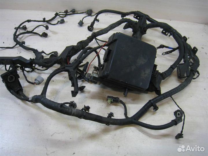 Жгут проводки двигателя KIA ceed (ED) 2011