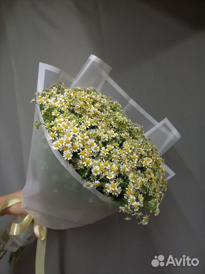 Букет из 35 ромашек