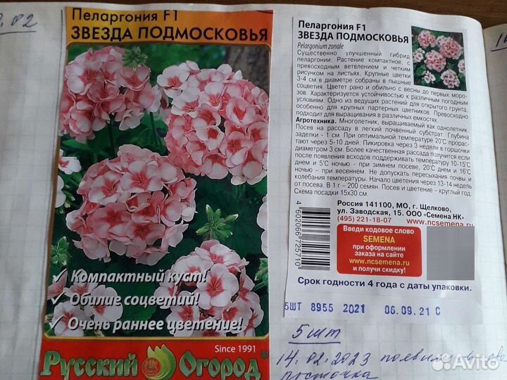 Лаванда,Пеларгония,Очиток,Флокс,Гипсофила