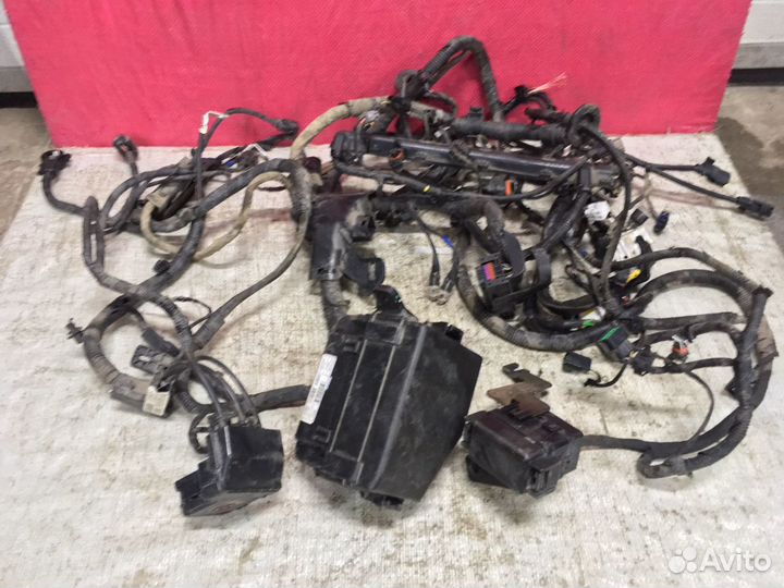 RIO 3 Проводка Мотрная 1.6 МКПП 6ст