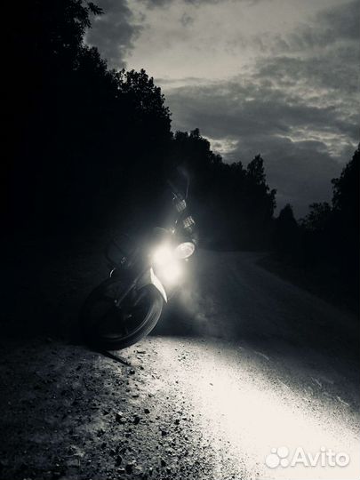 Альфа ягуар