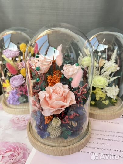 Стеклянный колпак клош