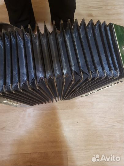 Аккордеон 1/2