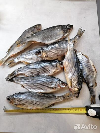 Рыба вяленая - плотва, окунь