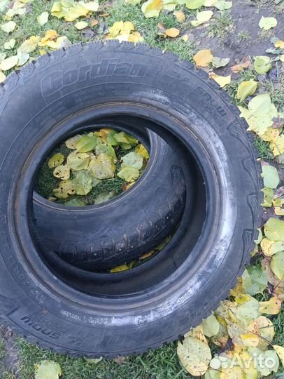 Cordiant Polar 175/75 R13