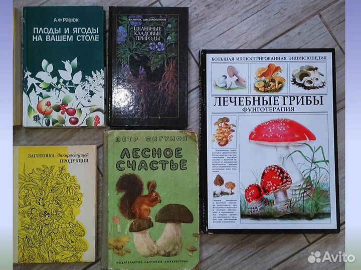 Лекарственные растения Плоды Ягоды Грибы Книги ССР