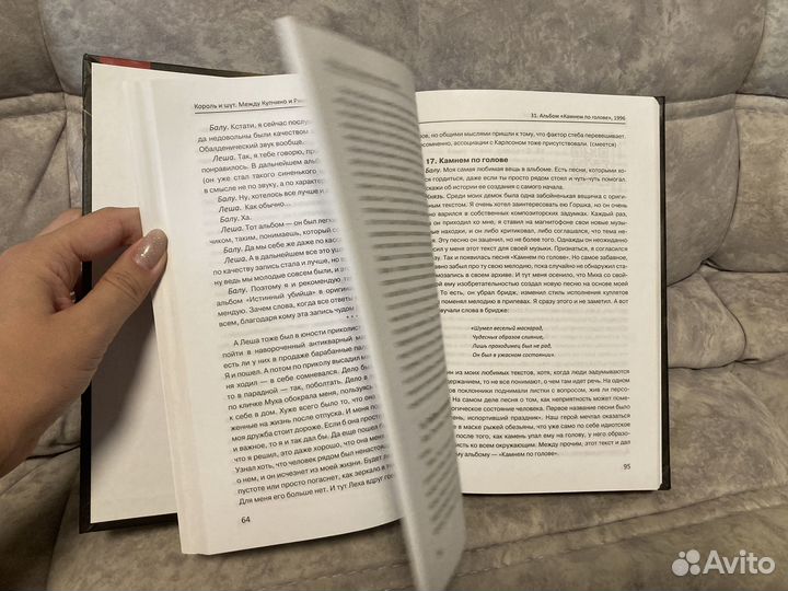 Книга король и шут между Купчино и Ржевкой