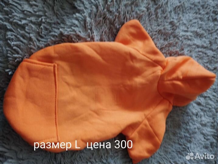 Одежда для собак мелких пород