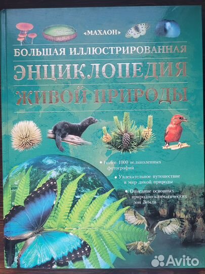 Энциклопедии
