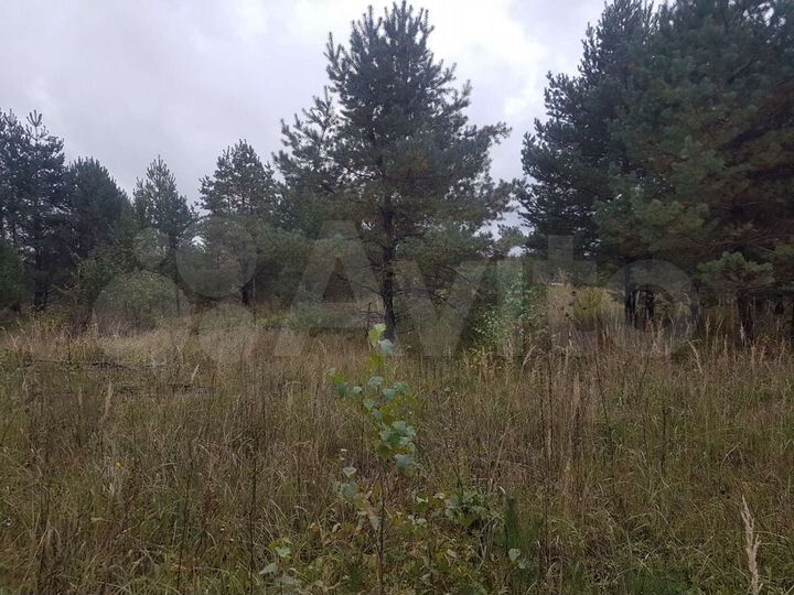 Участок 6 га (СНТ, ДНП)