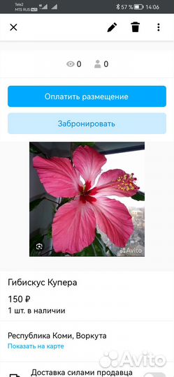 Комнатные цветы