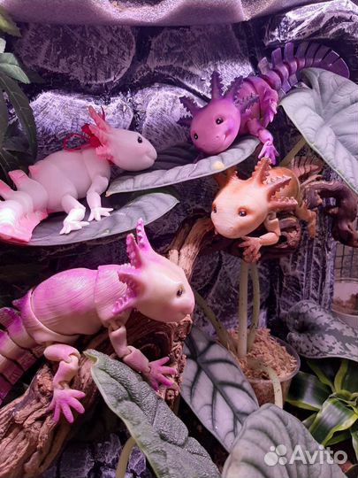 Подвижная игрушка, аксолотль, эублефар, агама