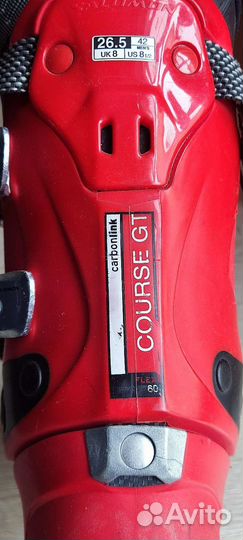 Горнолыжные ботинки