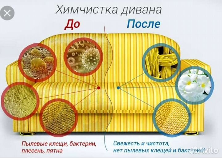 Химчистка мягкой мебели ковров салона автомобиля