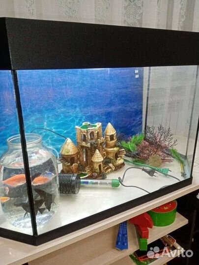 Аквариум