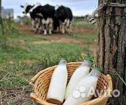 Домашняя молочка С доставкой