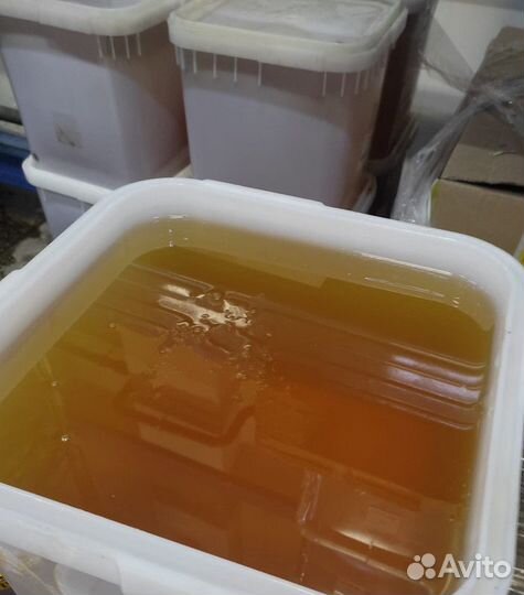 Свежий мед акация оптом