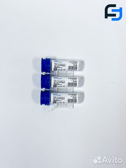 Распылитель L375PRD Delphi