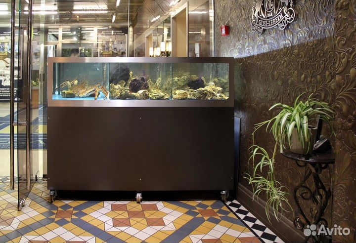 Аквариум для устриц и живых морепродуктов