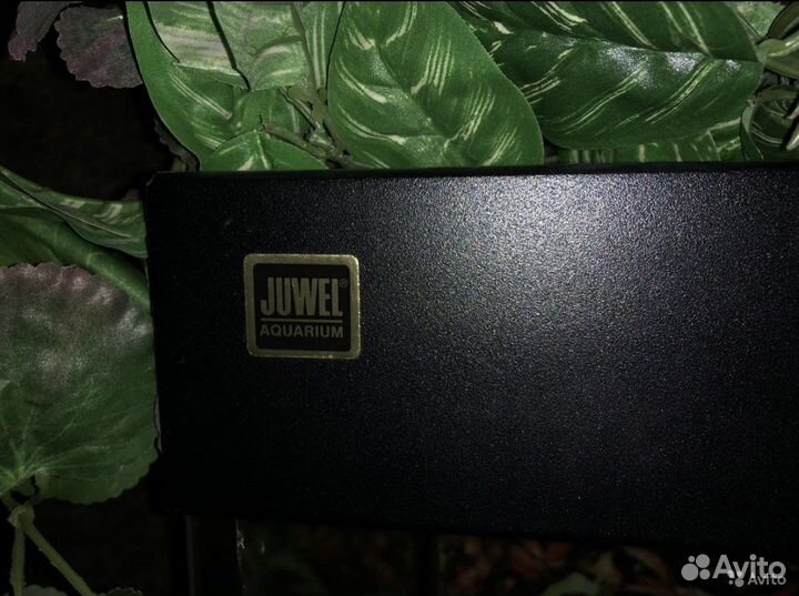 Аквариум Juwel 240 литров с тумбой